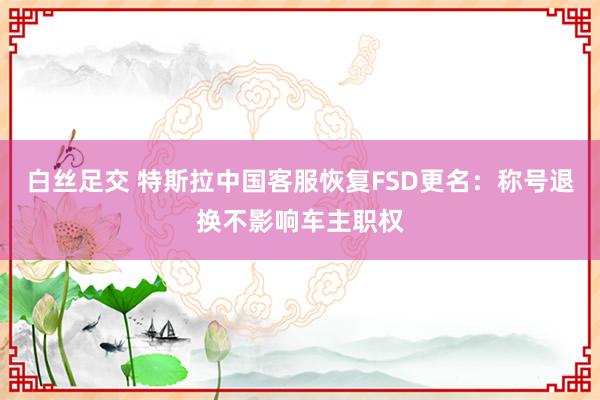 白丝足交 特斯拉中国客服恢复FSD更名：称号退换不影响车主职权